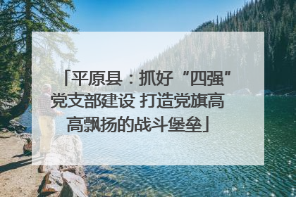 平原县：抓好“四强”党支部建设 打造党旗高高飘扬的战斗堡垒