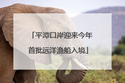 平潭口岸迎来今年首批远洋渔船入境