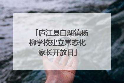 庐江县白湖镇杨柳学校建立常态化家长开放日