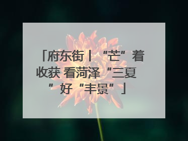 府东街丨“芒”着收获 看菏泽“三夏”好“丰景”