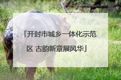 开封市城乡一体化示范区 古韵新章展风华