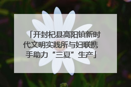 开封杞县高阳镇新时代文明实践所与妇联携手助力“三夏”生产
