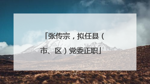 张传宗，拟任县（市、区）党委正职