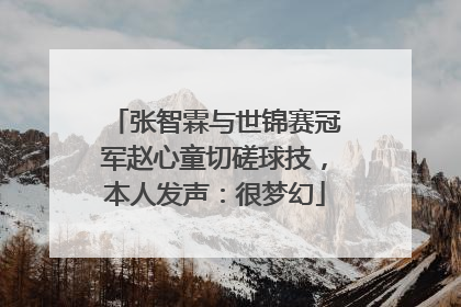 张智霖与世锦赛冠军赵心童切磋球技，本人发声：很梦幻
