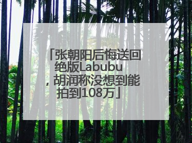 张朝阳后悔送回绝版Labubu，胡润称没想到能拍到108万