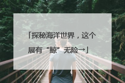 探秘海洋世界，这个展有“鲸”无险→