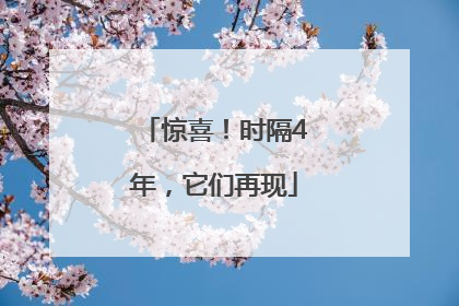 惊喜！时隔4年，它们再现