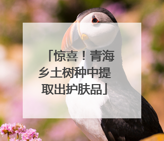 惊喜！青海乡土树种中提取出护肤品