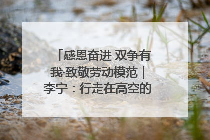 感恩奋进 双争有我·致敬劳动模范｜李宁：行走在高空的“电网卫士”