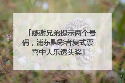 感谢兄弟提示两个号码，浦东购彩者复式票喜中大乐透头奖