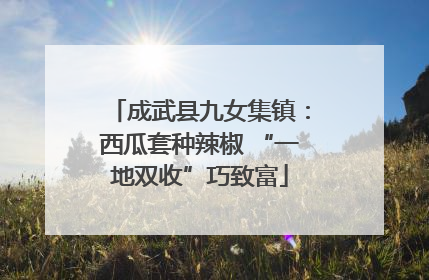 成武县九女集镇：西瓜套种辣椒 “一地双收”巧致富
