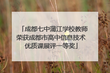 成都七中蒲江学校教师荣获成都市高中信息技术优质课展评一等奖