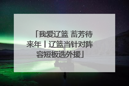 我爱辽篮 蓄芳待来年丨辽篮当针对阵容短板选外援