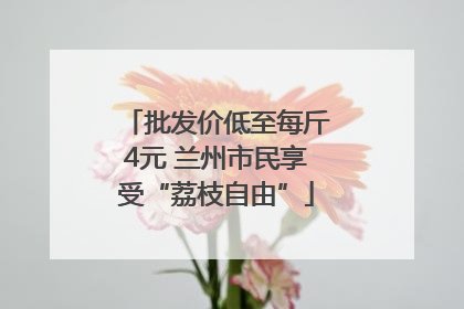 批发价低至每斤4元 兰州市民享受“荔枝自由”