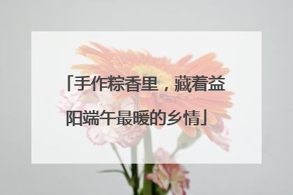 手作粽香里，藏着益阳端午最暖的乡情
