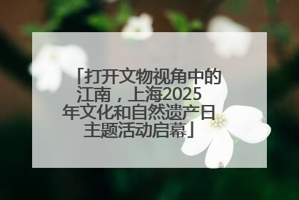 打开文物视角中的江南，上海2025年文化和自然遗产日主题活动启幕