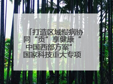 打造区域慢病协同“贡”享健康“中国西部方案” 国家科技重大专项落地自贡