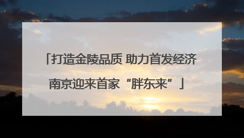 打造金陵品质 助力首发经济 南京迎来首家“胖东来”