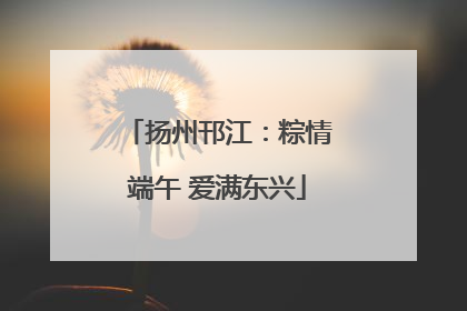 扬州邗江：粽情端午 爱满东兴