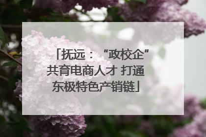 抚远：“政校企”共育电商人才 打通东极特色产销链