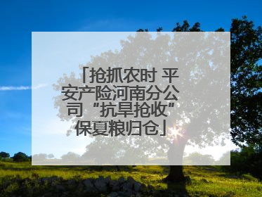 抢抓农时 平安产险河南分公司“抗旱抢收”保夏粮归仓