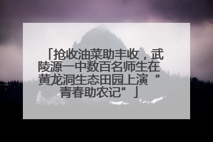 抢收油菜助丰收，武陵源一中数百名师生在黄龙洞生态田园上演“青春助农记”