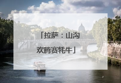 拉萨：山沟欢腾赛牦牛