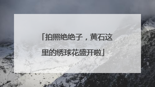拍照绝绝子，黄石这里的绣球花盛开啦