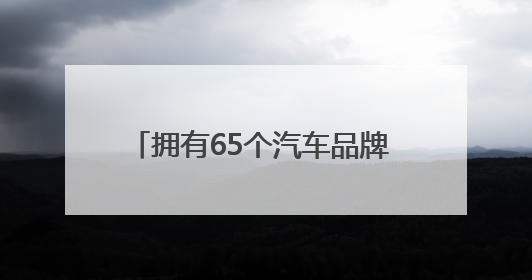 拥有65个汽车品牌 去年槐荫区新能源汽车销售额达113.9亿元