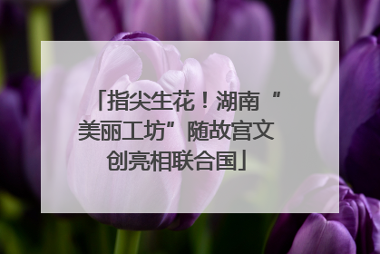 指尖生花！湖南“美丽工坊”随故宫文创亮相联合国