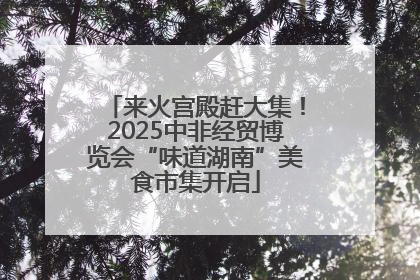 来火宫殿赶大集！2025中非经贸博览会“味道湖南”美食市集开启