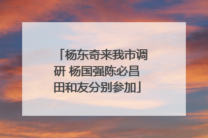 杨东奇来我市调研 杨国强陈必昌田和友分别参加