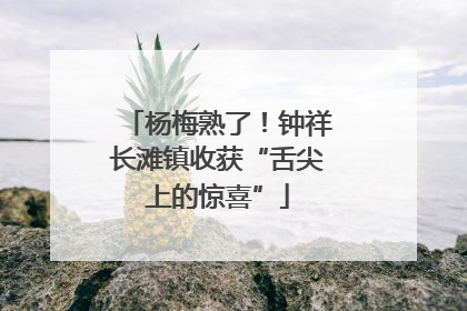 杨梅熟了！钟祥长滩镇收获“舌尖上的惊喜”