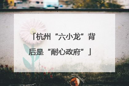 杭州“六小龙”背后是“耐心政府”