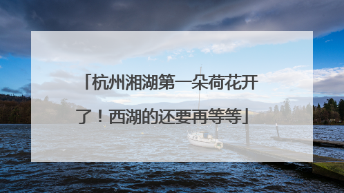 杭州湘湖第一朵荷花开了！西湖的还要再等等