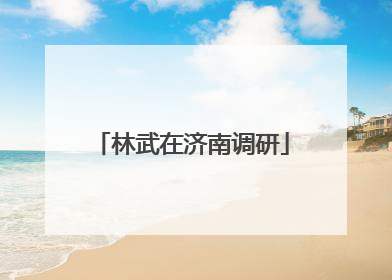 林武在济南调研