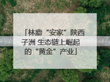 林麝“安家”陕西子洲 生态链上崛起的“黄金”产业