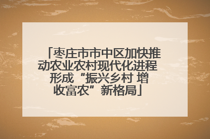 枣庄市市中区加快推动农业农村现代化进程 形成“振兴乡村 增收富农”新格局
