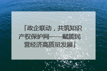 政企联动，共筑知识产权保护网——赋能民营经济高质量发展