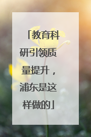 教育科研引领质量提升，浦东是这样做的
