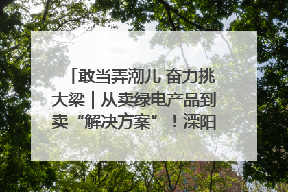 敢当弄潮儿 奋力挑大梁｜从卖绿电产品到卖“解决方案”！溧阳立足产业优势建成五大微电网示范项目