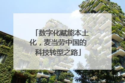数字化赋能本土化，麦当劳中国的科技转型之路