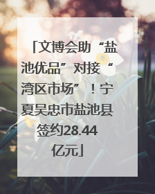 文博会助“盐池优品”对接“湾区市场”！宁夏吴忠市盐池县签约28.44亿元