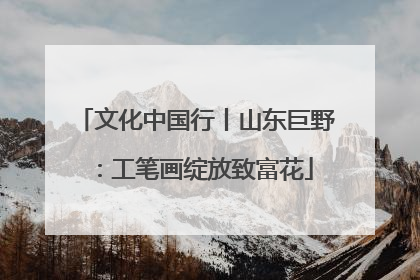 文化中国行丨山东巨野：工笔画绽放致富花
