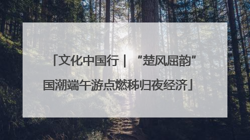 文化中国行｜“楚风屈韵”国潮端午游点燃秭归夜经济