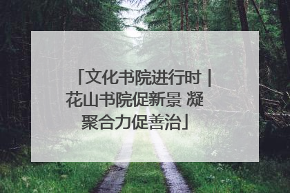 文化书院进行时｜花山书院促新景 凝聚合力促善治