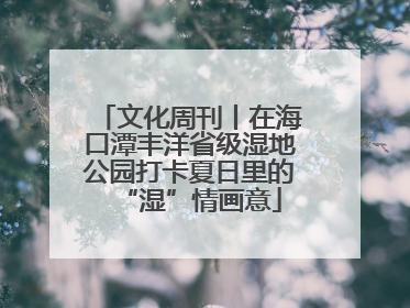 文化周刊丨在海口潭丰洋省级湿地公园打卡夏日里的“湿”情画意