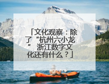 文化观察：除了“杭州六小龙” 浙江数字文化还有什么？