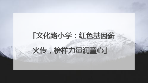 文化路小学：红色基因薪火传，榜样力量润童心