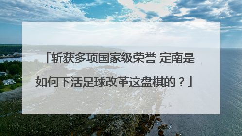 斩获多项国家级荣誉 定南是如何下活足球改革这盘棋的？